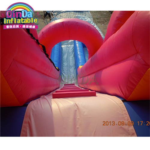 Commercial Inflatable Water Slide ,Pink Inflatable Slide For Sale