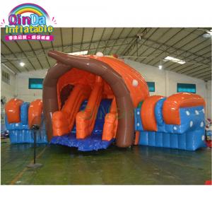 Outdoor inflatable Conch slide for pool , inflatable seashell animal pools slides for adult and kids